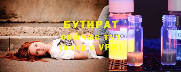 индика Новозыбков