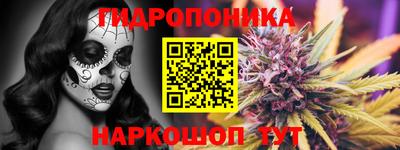 гашик Жуковский