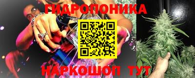 гашик Жуковский